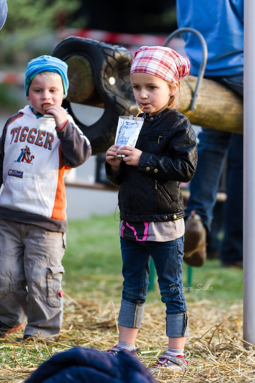 Bild 125 - Wiemersdorfer Maibaum